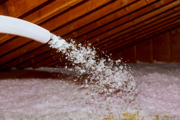 Best Insulation Maintenance and Repair in Dunlap, OH