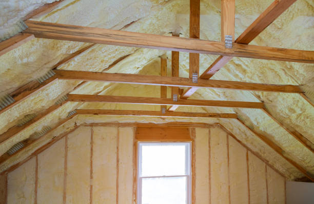 Best Specialized Insulation Services in Dunlap, OH