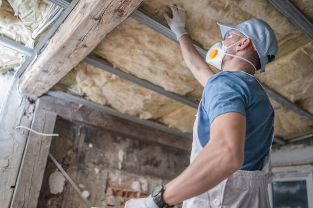 Best Residential Insulation in Dunlap, OH
